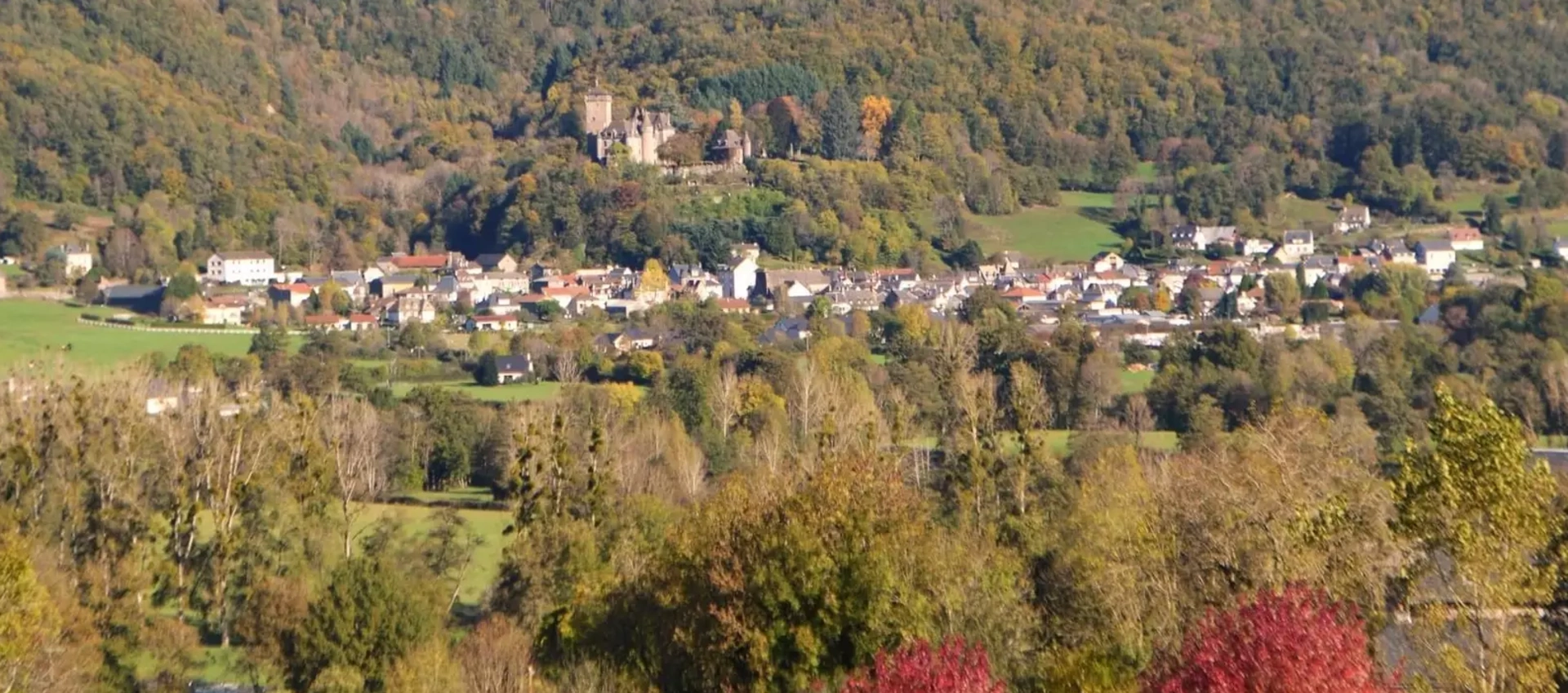 Cantal près des Volcans d'Auvergne Maisons de pays aménagées en gîtes indépendants de caractère 2 à 11 personnes ,alt 650m ,Polminhac, Vic/cère,